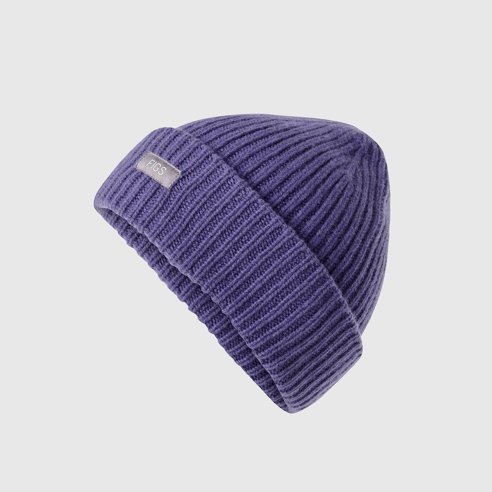Wayfarer FIGS Logo Beanie